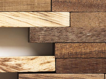 Forestrall - Wood background