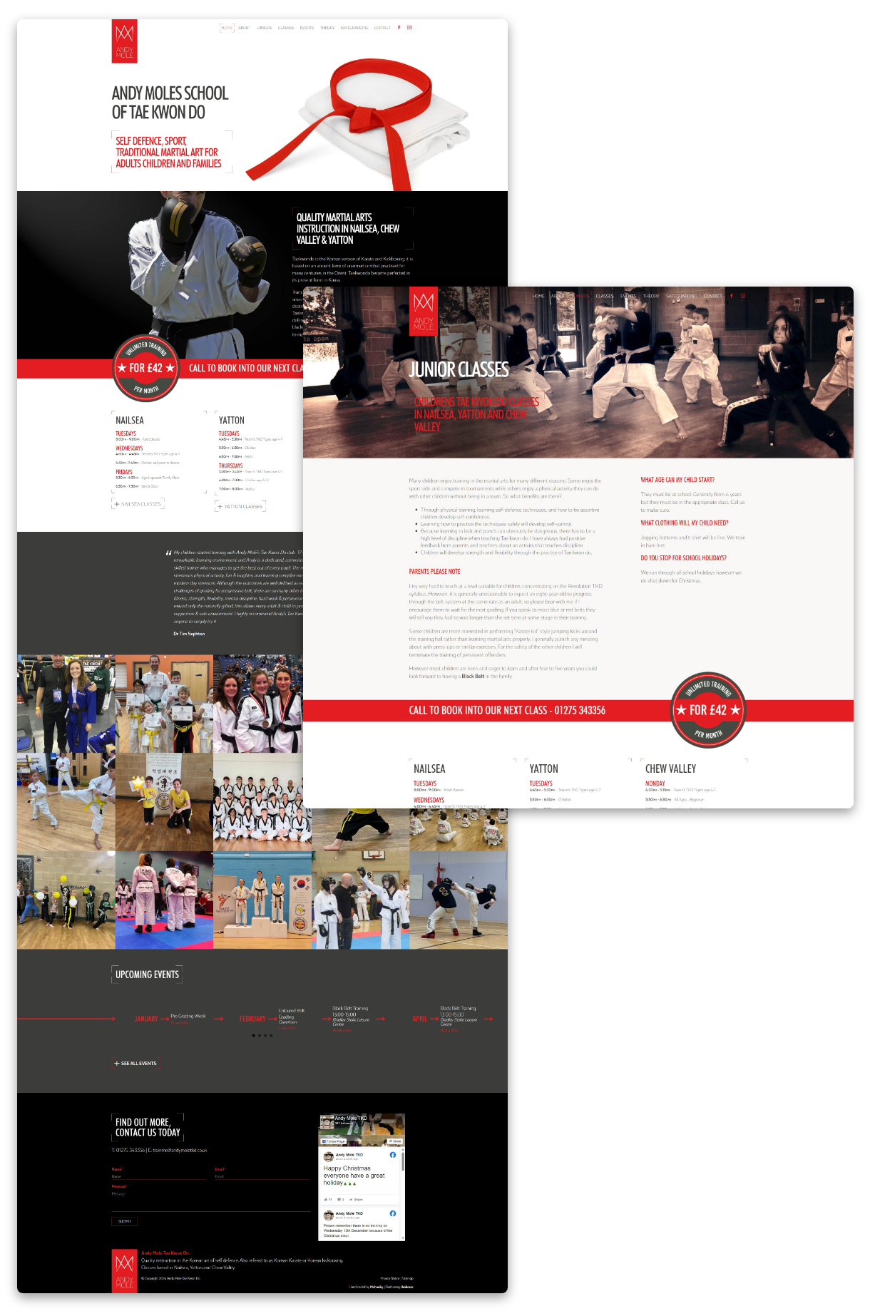 Andy Mole Tae Kwon Do - Screenshot of junior classes page giving information on what the classes offer