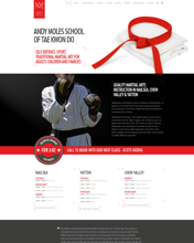 Example design from Andy Mole TaeKwonDo